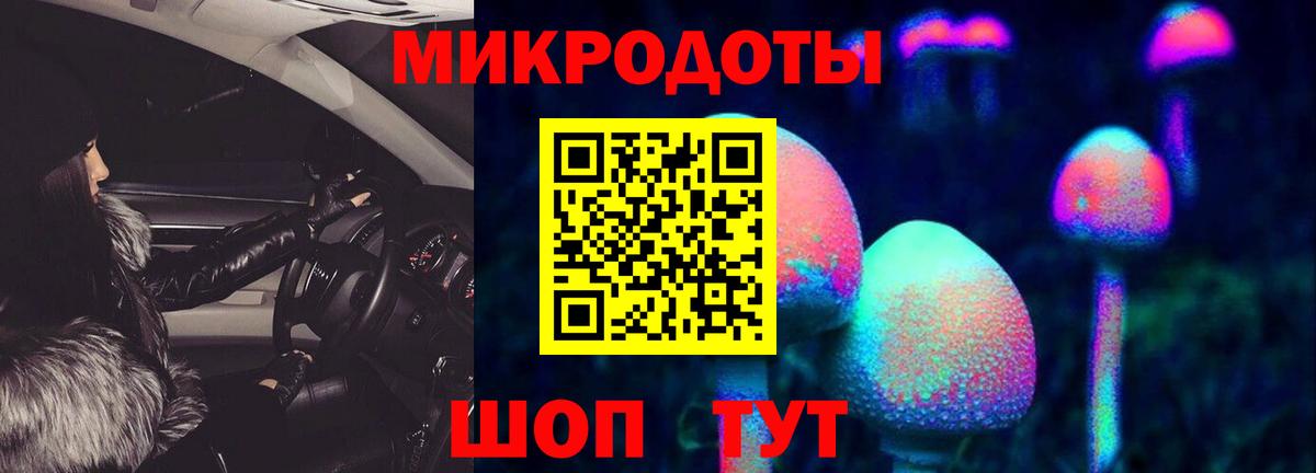 Галлюциногенные грибы Psilocybe Холмск